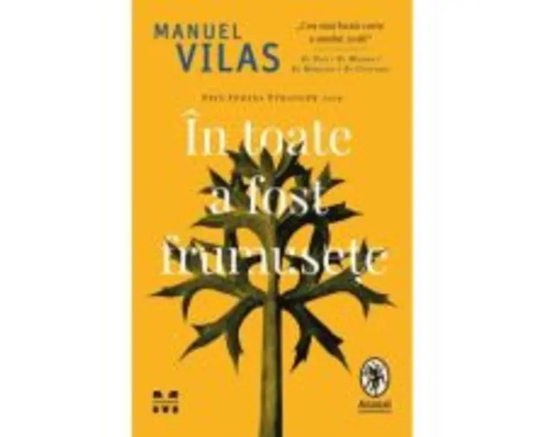 In toate a fost frumusete - Manuel Vilas