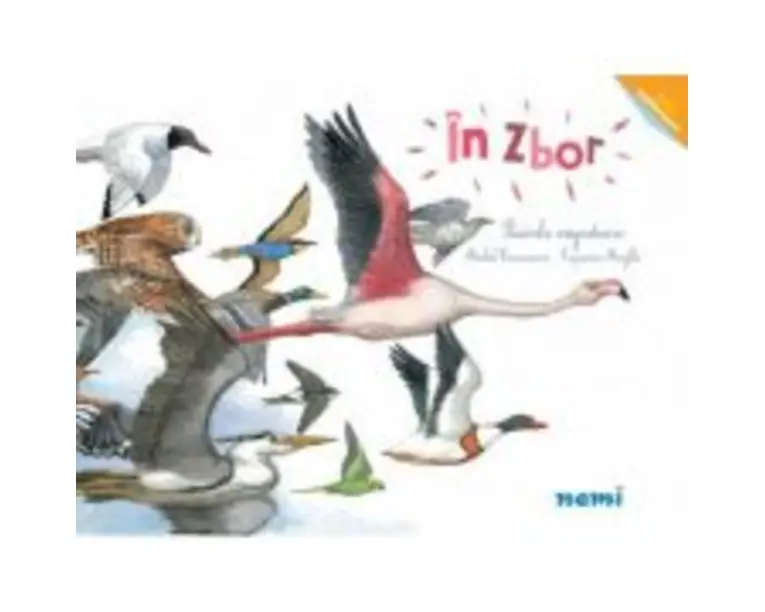 In zbor - Pasarile migratoare - Capucine Mazille, Michel Francesconi