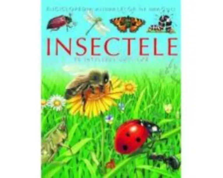 Insectele pe intelesul copiilor - Emilie Beaumont