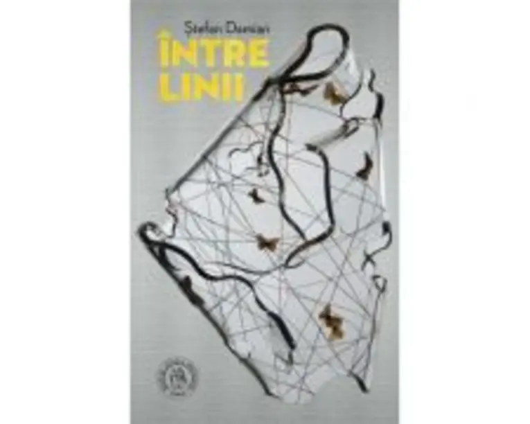 Intre linii - Stefan Damian