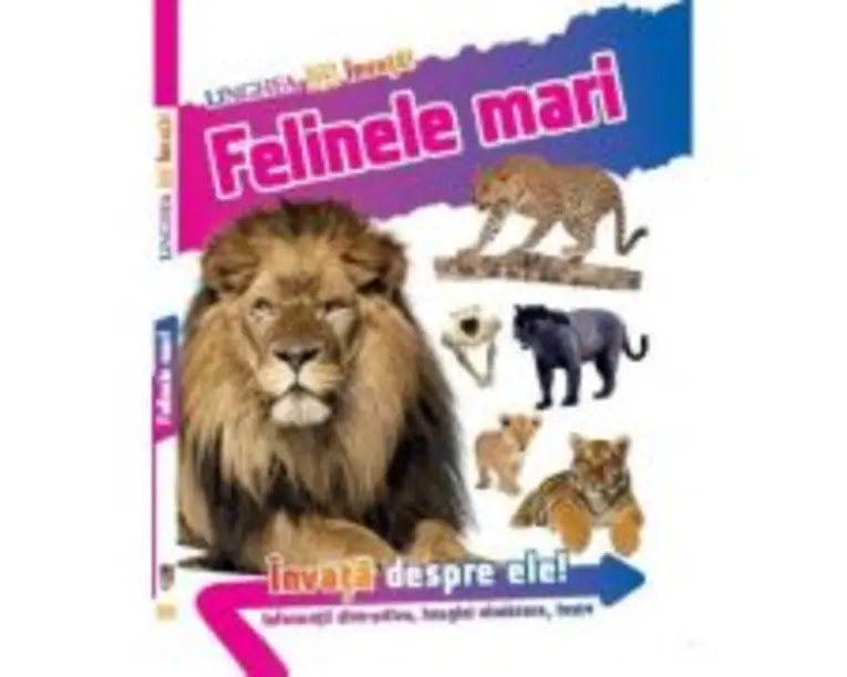Invata! Felinele mari