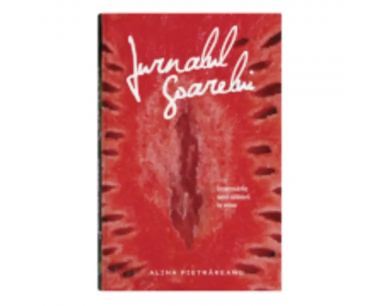 Jurnalul Soarelui - Alina Pietrareanu