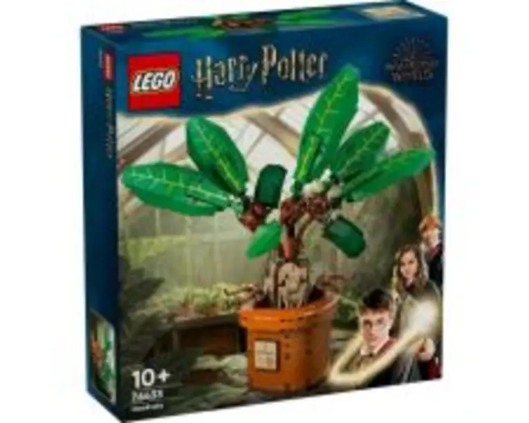 LEGO Harry Potter. Matraguna 76433, 579 piese
