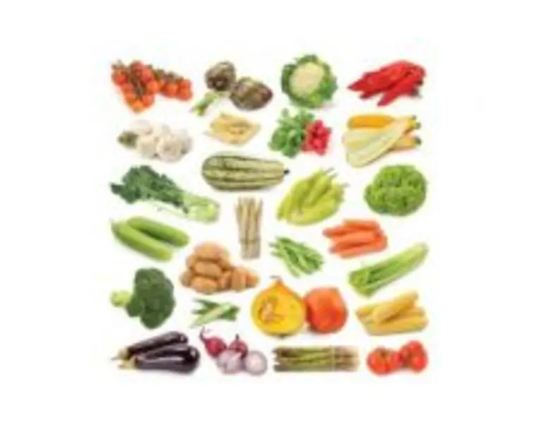 Legume (KP-014) - 50x50