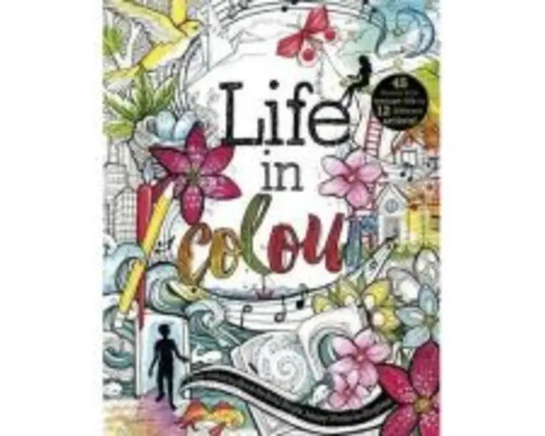 Life in Colour. A Teen Colouring Book for Bold, Bright, Messy Works-In-Progress