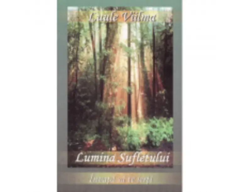 Lumina sufletului - Primul volum din seria Invata sa te ierti (Luule Viilma)