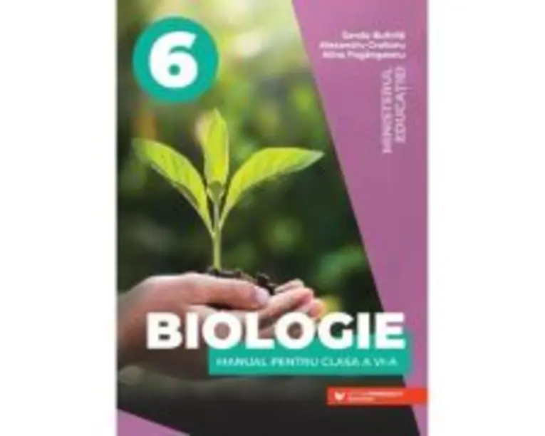 Biologie. Manual clasa a 6-a - Sanda Bufnila