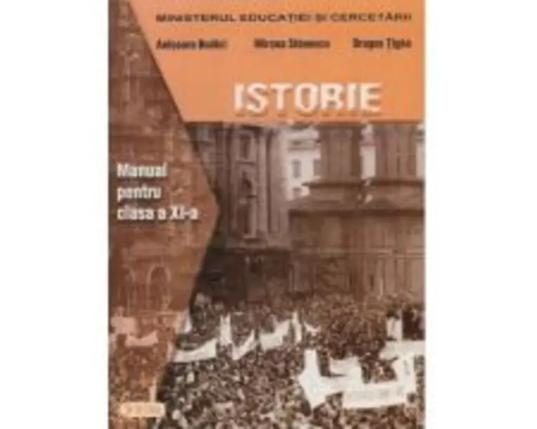 Manual de istorie pentru clasa a 11-a - Anisoara Budici