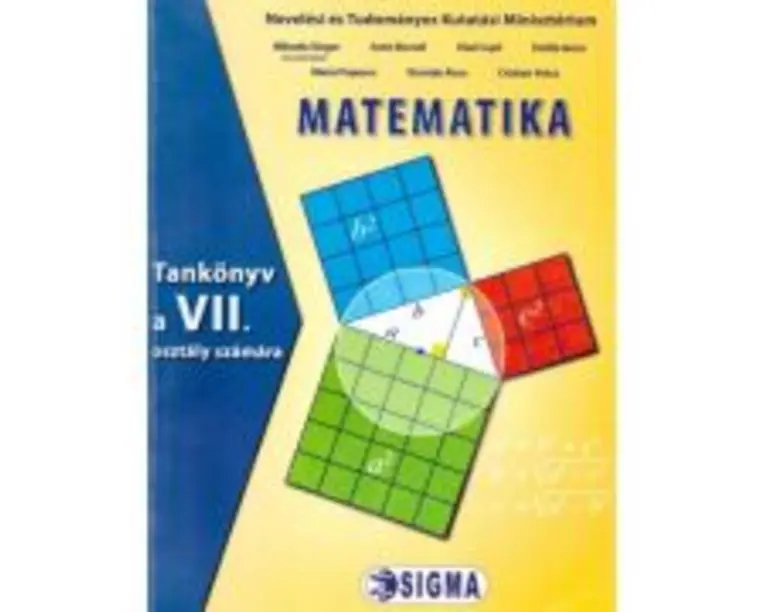 Matematica. Manual pentru clasa a 7-a in limba maghiara - Mihaela Singer