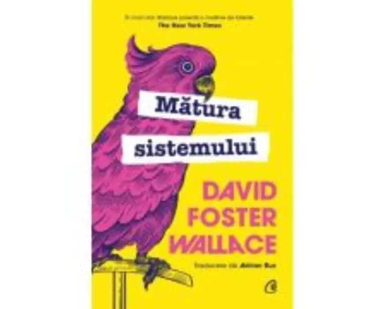 Matura sistemului - David Foster Wallace