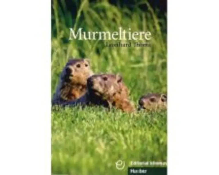 Murmeltiere Buch - Leonhard Thoma