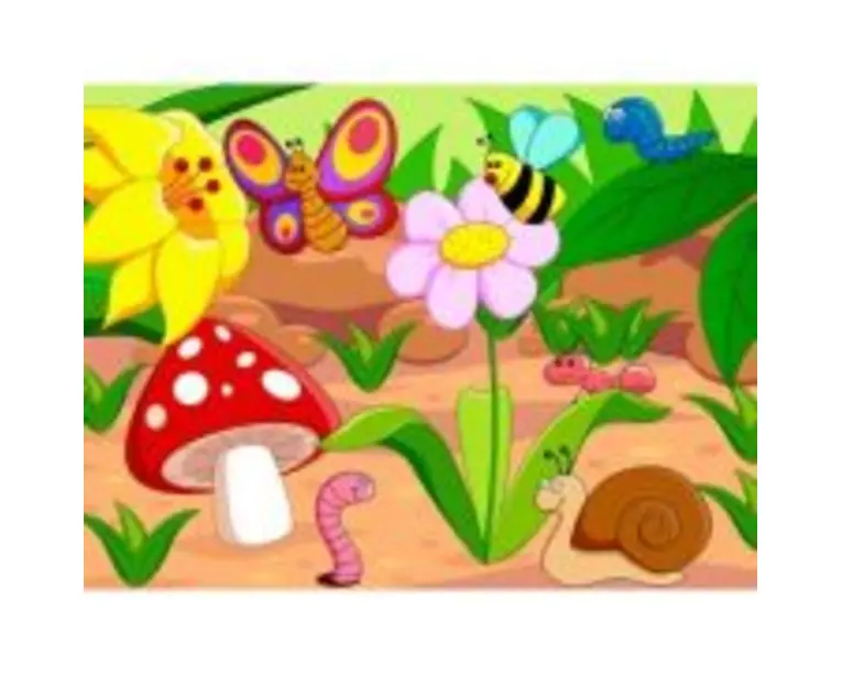 Natura (KP-006) - 50 x 70