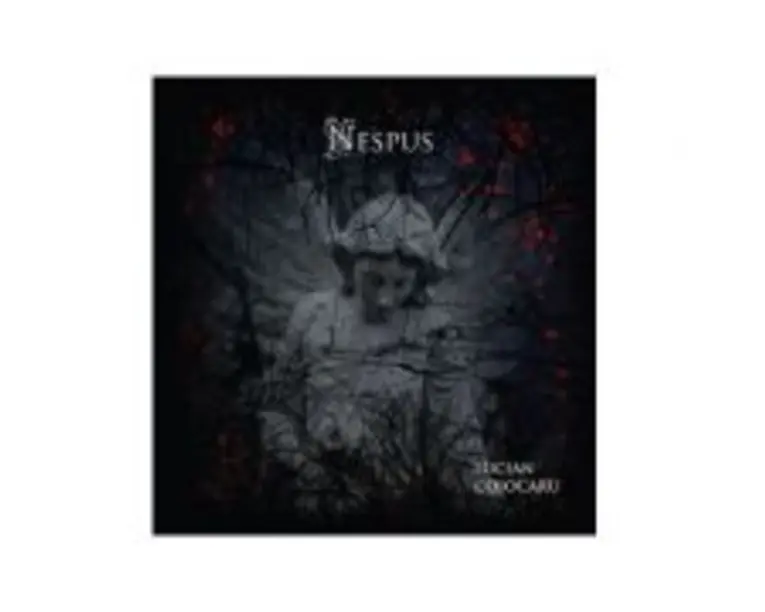 Nespus - Lucian Cojocaru
