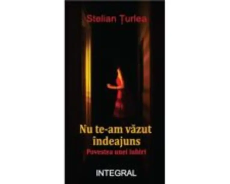 Nu te-am vazut indeajuns. Poveste de iubire - Stelian Turlea