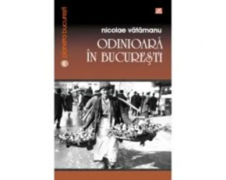 Odinioara in Bucuresti - Nicolae Vatamanu