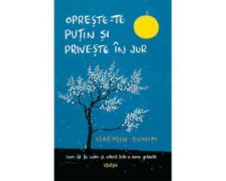 Opreste-te putin si priveste in jur - Haemin Sunim