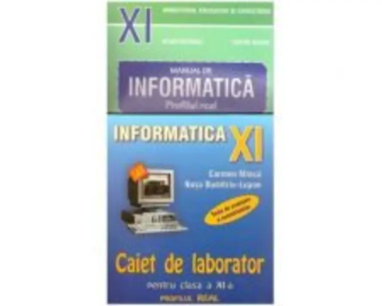 Pachet INFORMATICA clasa a 11-a Profilul Real