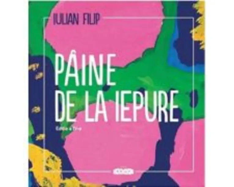 Paine de la iepure - Iulian Filip