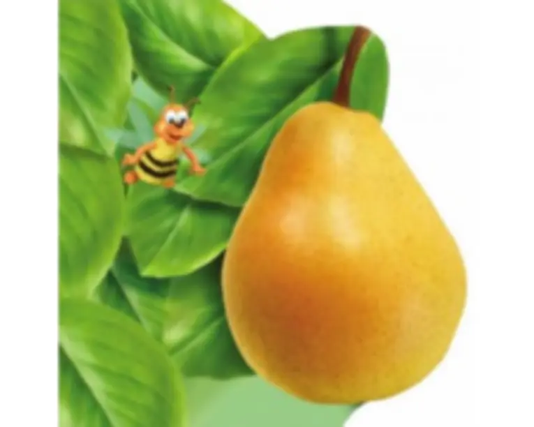 Para. Colectia Primii pasi - Arcadie Suceveanu