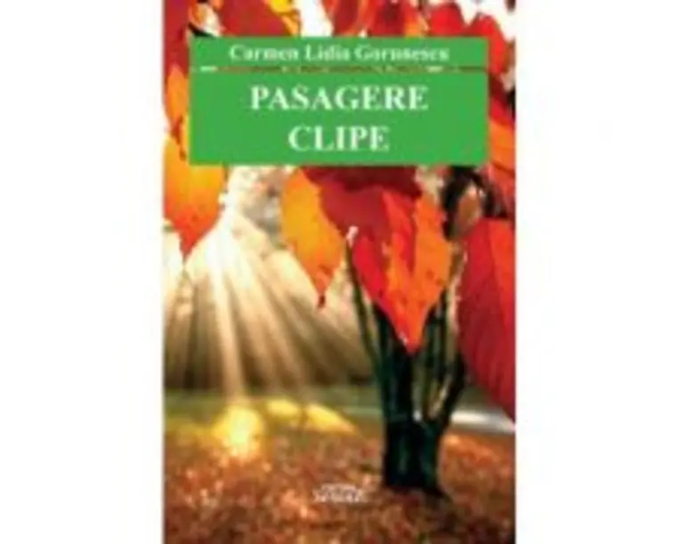 Pasagere clipe - Carmen Lidia Gorunescu