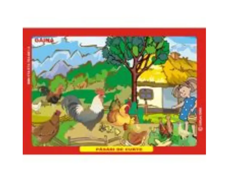 Pasari de curte. Gaina, Curca, Rata, Gasca - Eleonora Negru