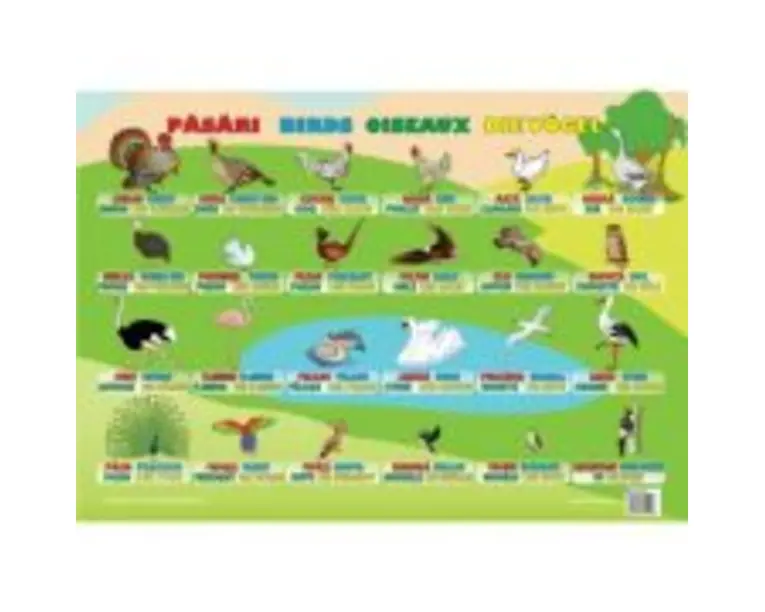 Pasari. Plansa educationala