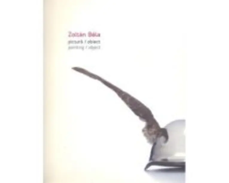 Pictura. Mai mult decat o joaca - Elena Barboni