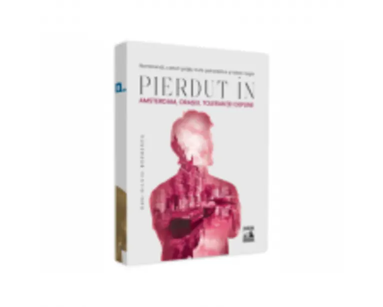 Pierdut in Amsterdam, orasul tolerantei depline. Rembrandt, cartofi prajiti, trufe psihedelice si lalele negre - Dan-Silviu Boerescu