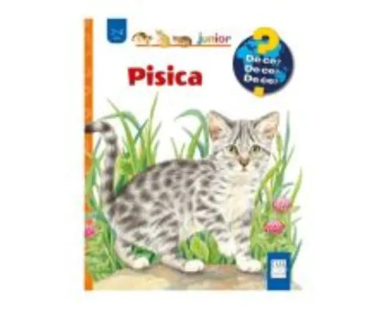 Pisica - Patricia Mennem