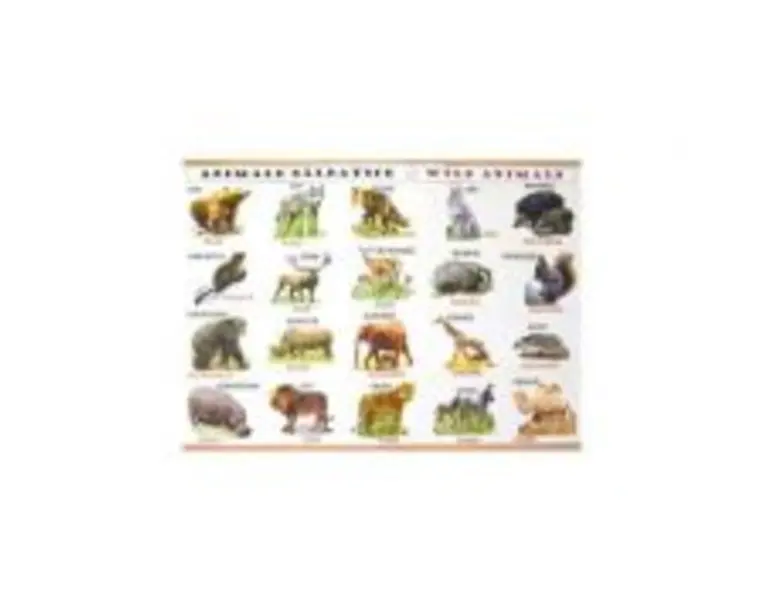 Plansa: Animale domestice - Animale salbatice