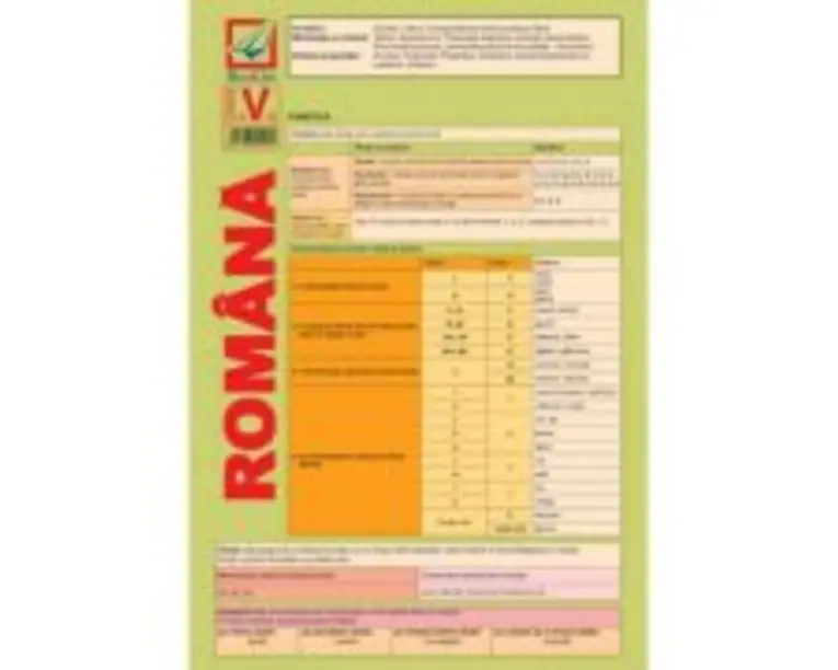 Pliant de limba romana pentru clasa a 5-a