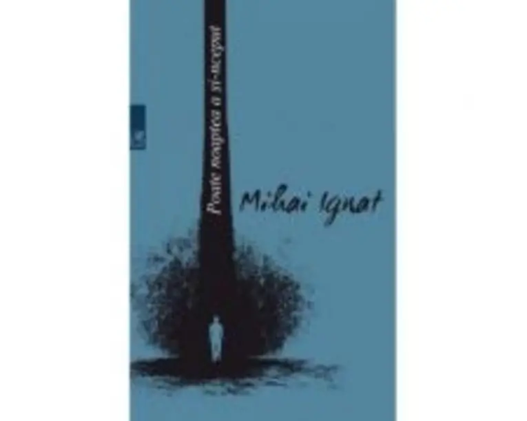 Poate noaptea a si-nceput - Mihai Ignat