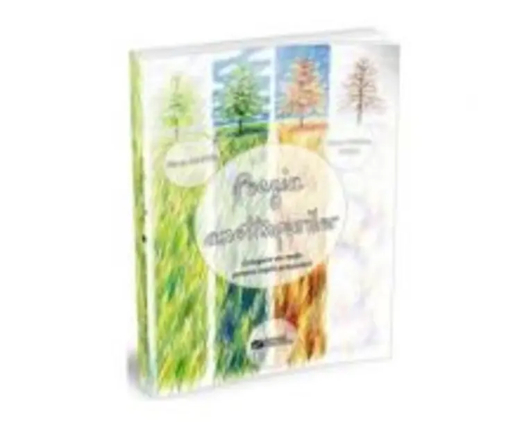 Poezia anotimpurilor - Iliana Maftei, Oana Cristina Chesa