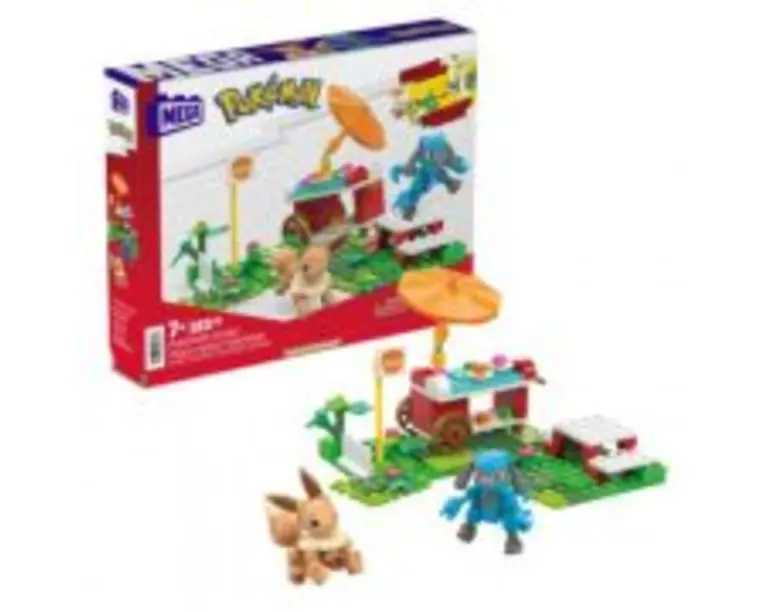 Pokemon Mega Picnicul Pokemon