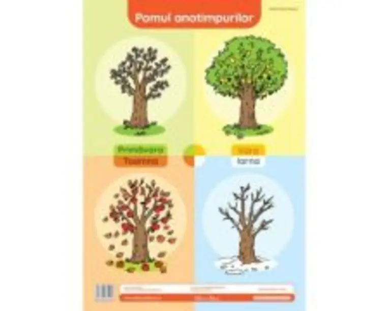 Pomul anotimpurilor. Plansa didactica A3