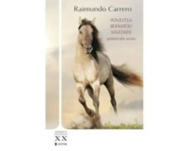 Povestea Bernardei Soledade - Raimundo Carrero