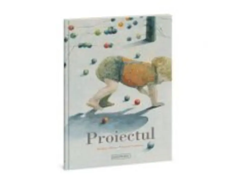 Proiectul - Brigitte Minne
