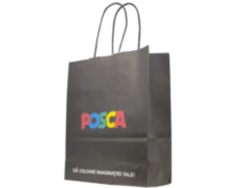 Punga hartie cadou Papiroti 23770, personalizata, B5 90 g /mp, 18x22x8 cm, POSCA (P3812)