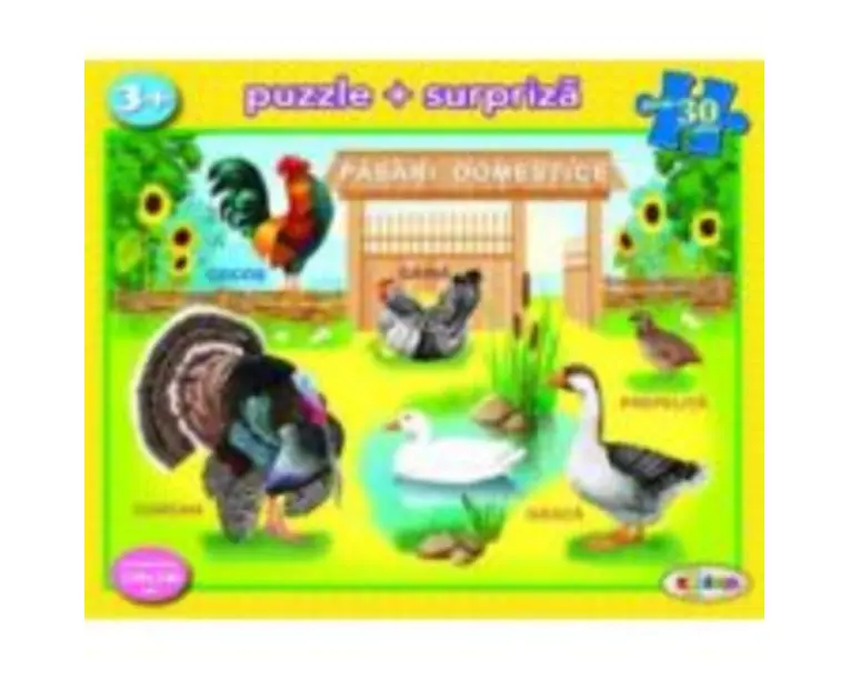 Puzzle Pasari domestice