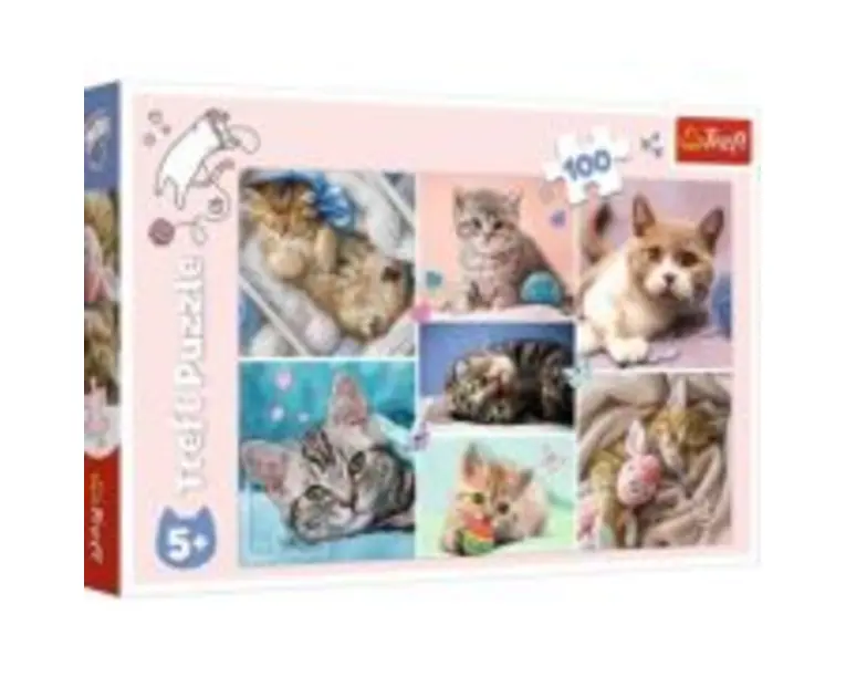 Puzzle 100 In lumea pisicilor, Trefl