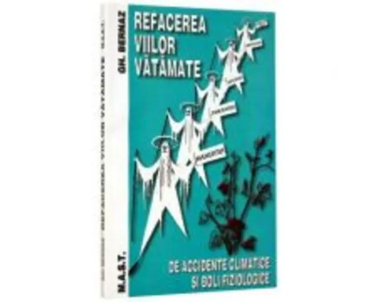 Refacerea viilor vatamate - Gheorghe Bernaz