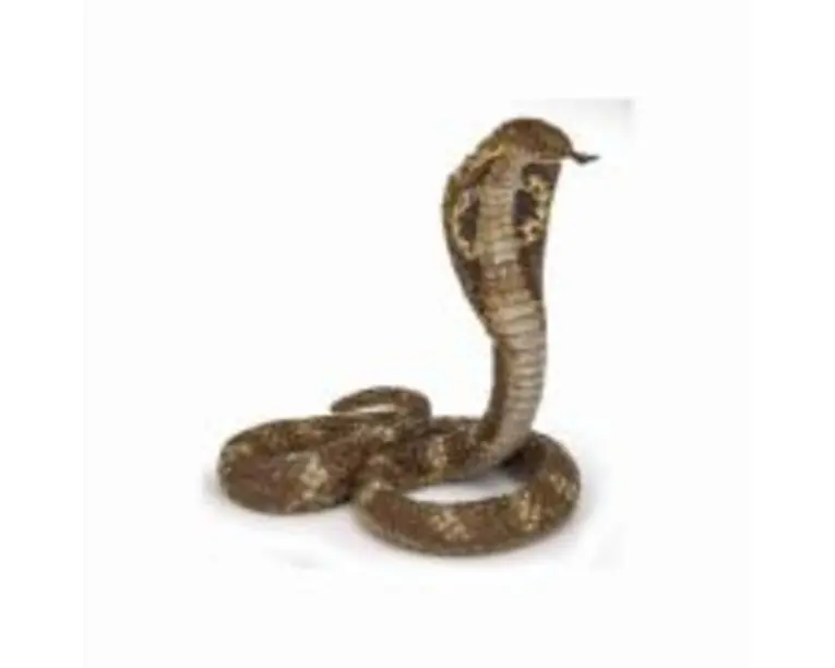Figurina cobra regala, Papo