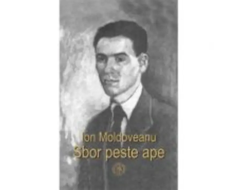 Sbor peste ape - Ion Moldoveanu