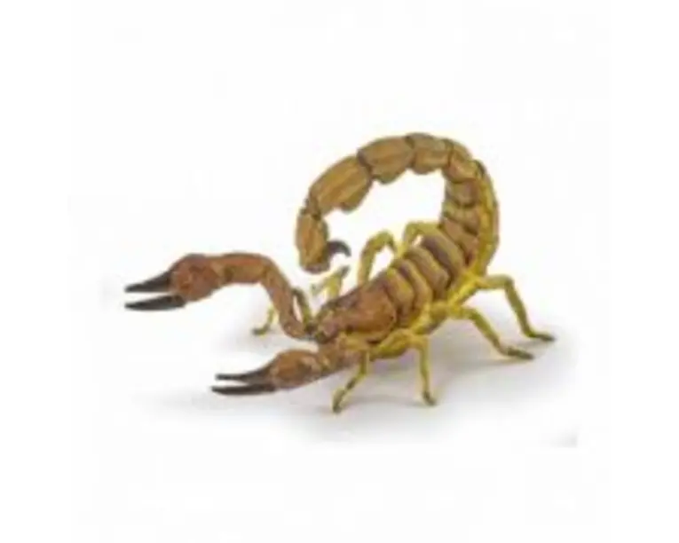 Figurina scorpion Papo