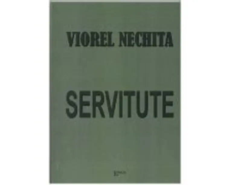 Servitute - Viorel Nechita