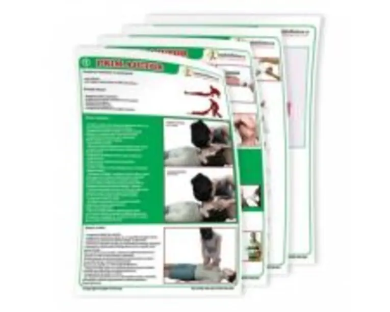 Set planse prim ajutor pentru scolile de soferi, 50 x 70 cm