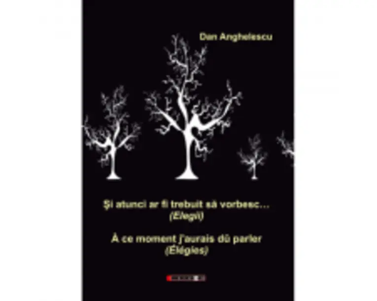 Si atunci ar fi trebuit sa vorbesc… (Elegii) - Dan Anghelescu