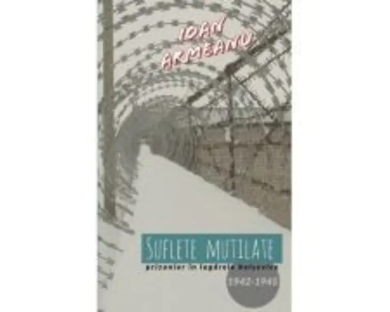 Suflete mutilate - Ioan Armeanu