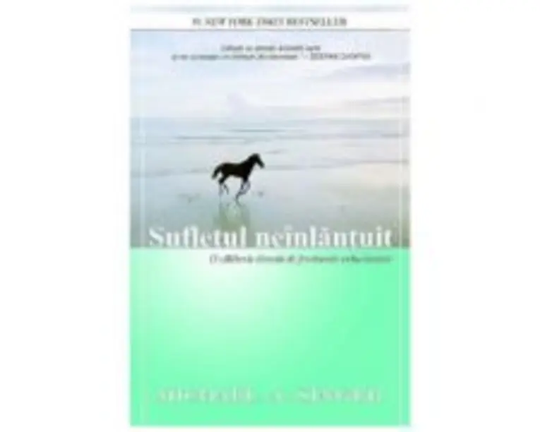 Sufletul neinlantuit. O calatorie dincolo de frontierele eului limitat - Michael A. Singer