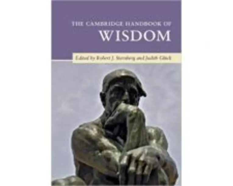 The Cambridge Handbook of Wisdom - Robert J. Sternberg, Judith Gluck